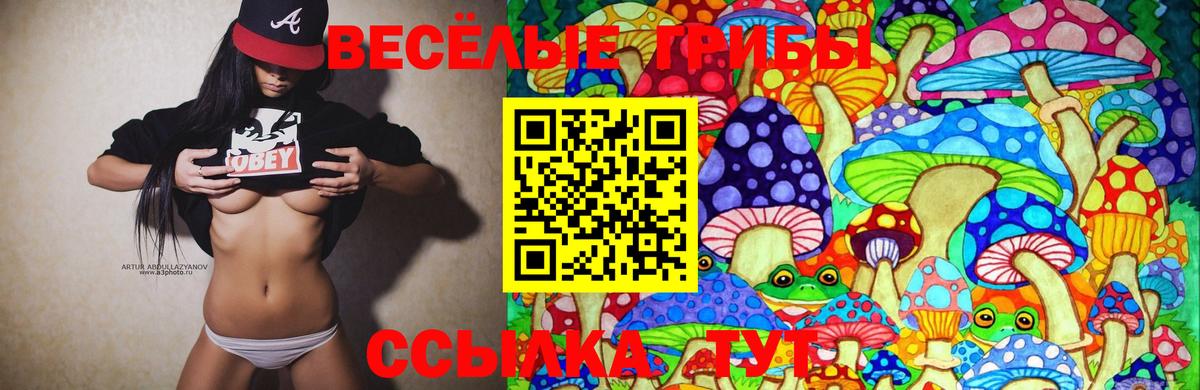 Псилоцибиновые грибы Magic Shrooms  Вход с VPN  Темрюк  Галлюциногенные грибы Magic Shrooms 